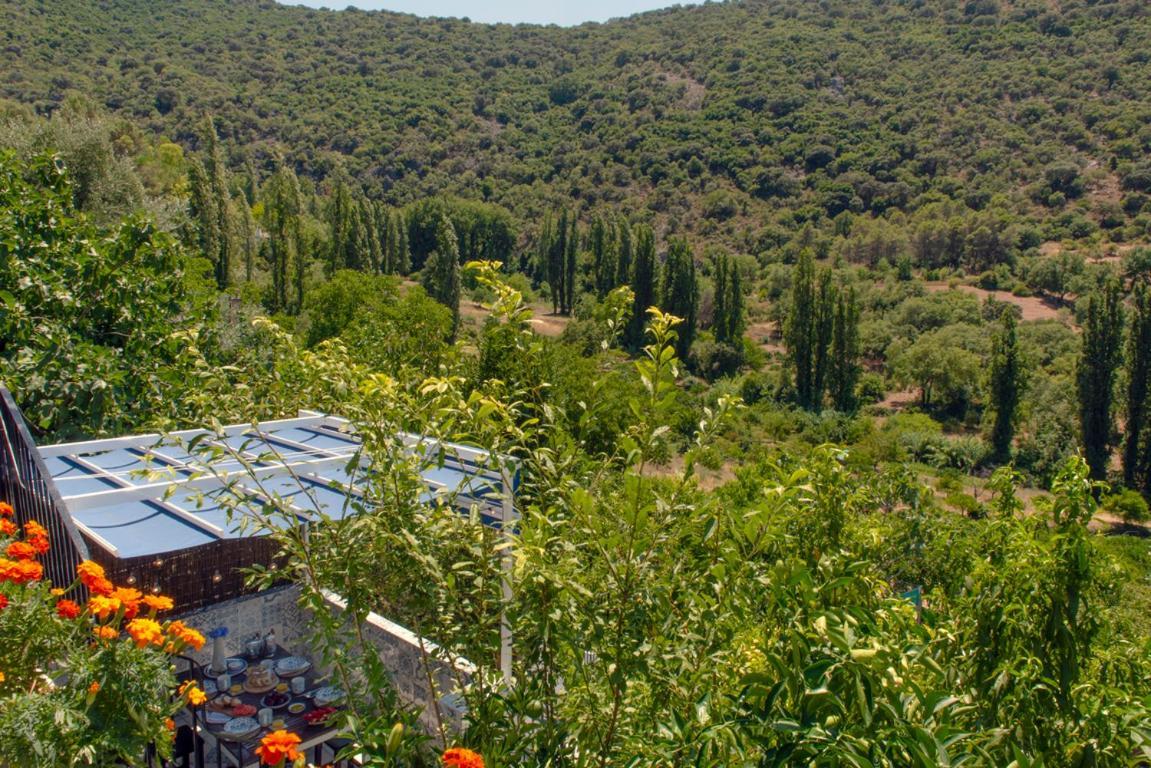 Stunning Home Benamahoma 4 Bed - Sierra Grazalema Esterno foto